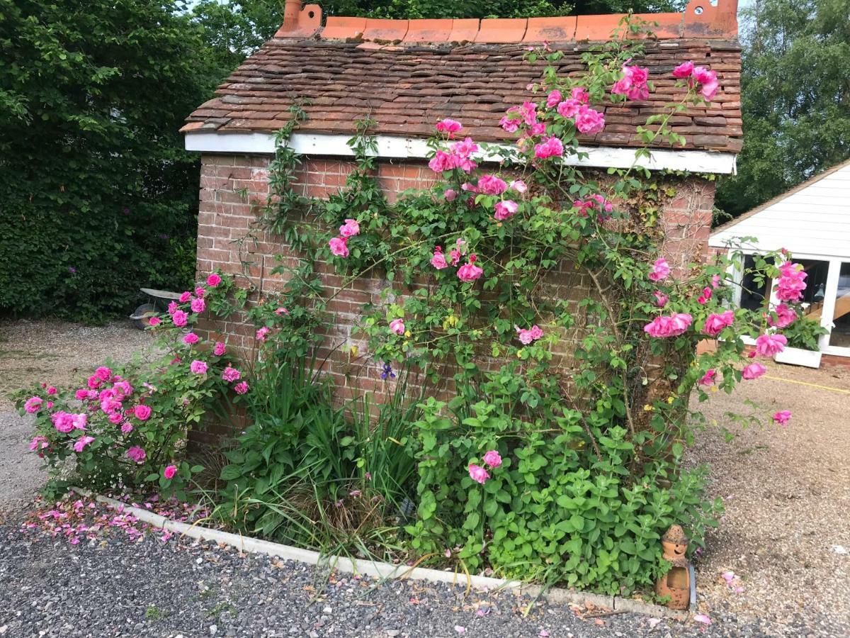 The Pigeon Loft Hurst Green (East Sussex) Exterior foto